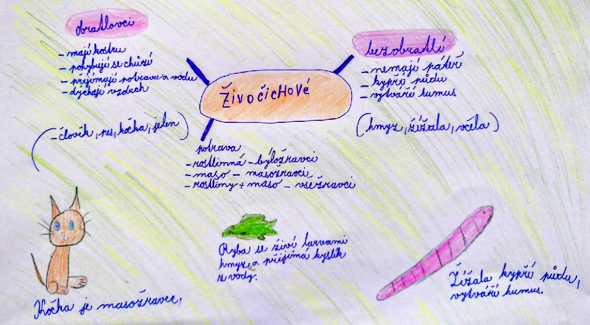 3. třída – myšlenkové mapy 2023