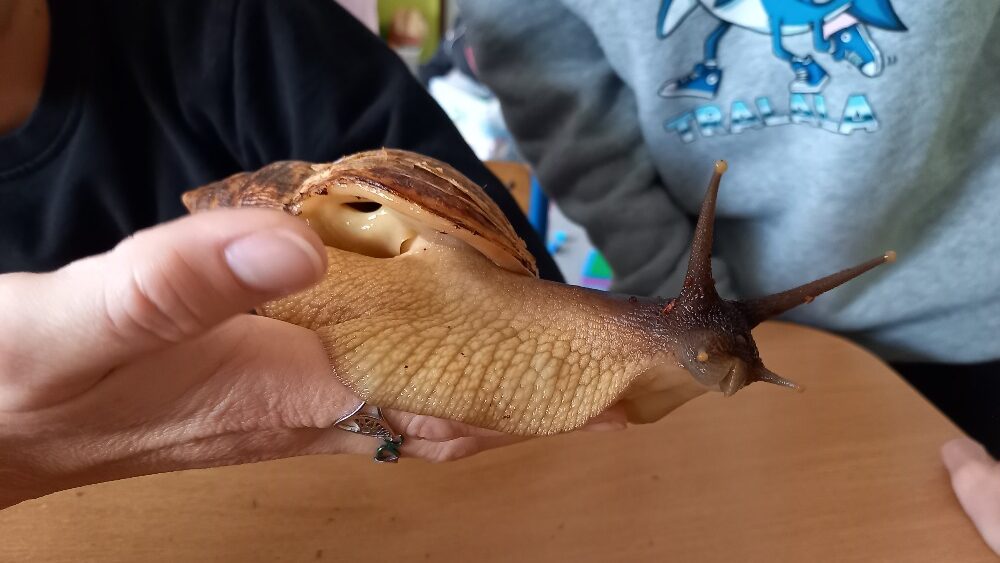 Družinový mazlíček Sam – I. oddělení